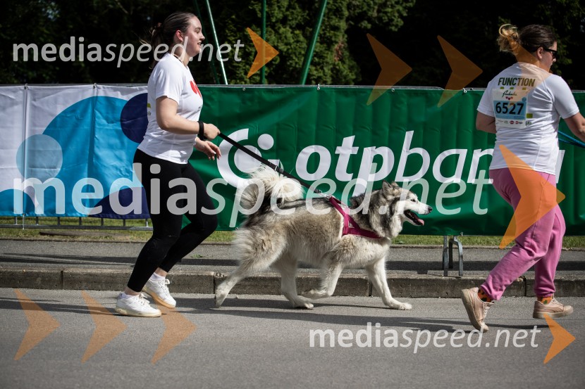 43. Maraton Treh src - tek