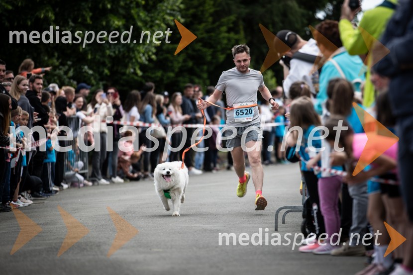 43. Maraton Treh src - tek