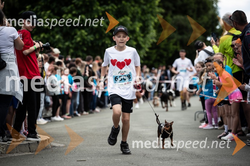 43. Maraton Treh src - tek