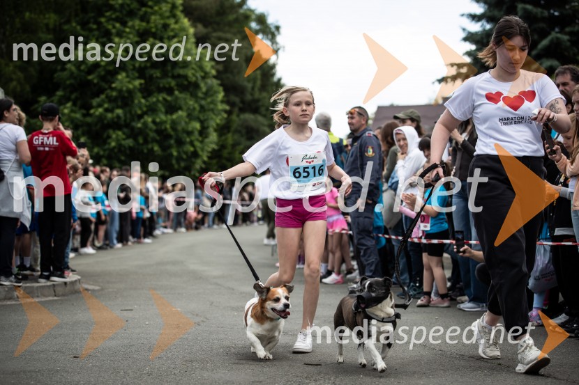 43. Maraton Treh src - tek