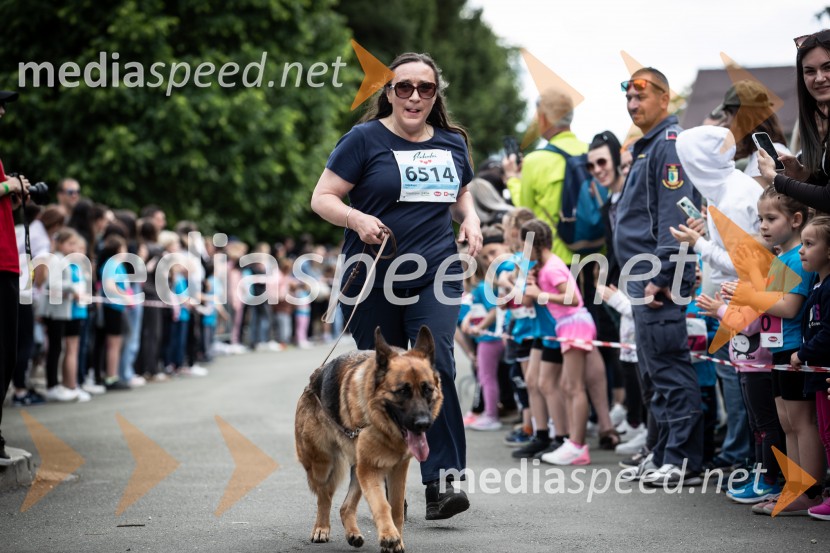 43. Maraton Treh src - tek