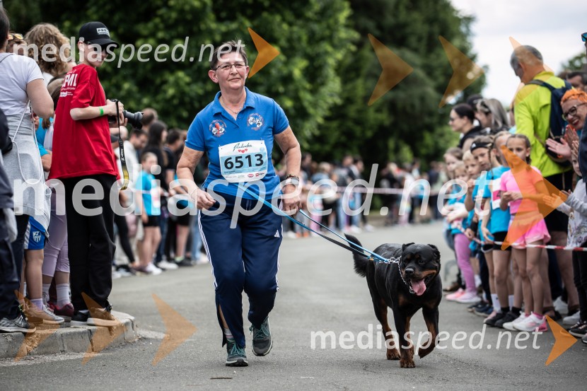 43. Maraton Treh src - tek