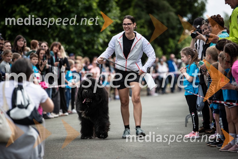 43. Maraton Treh src - tek