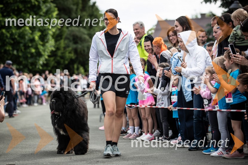 43. Maraton Treh src - tek