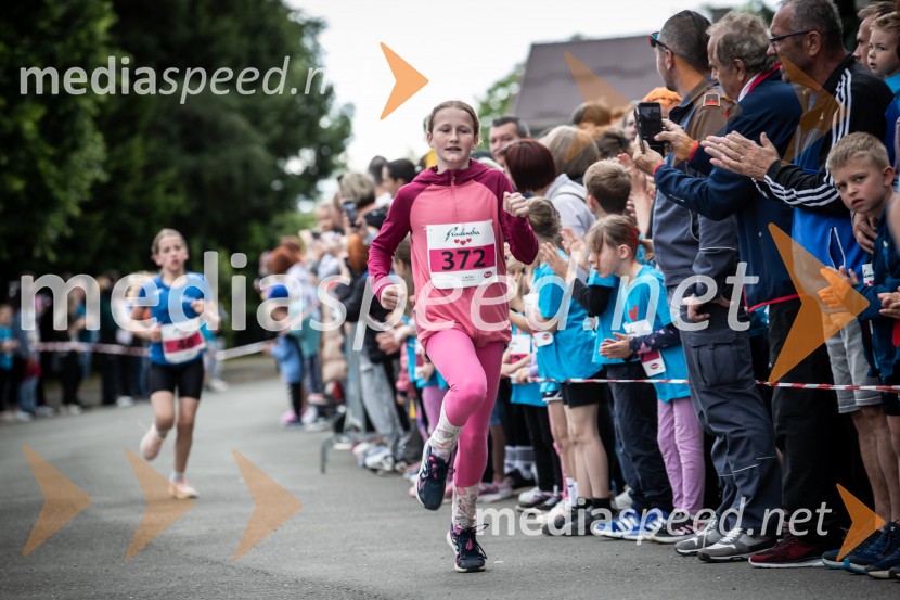 43. Maraton Treh src - tek