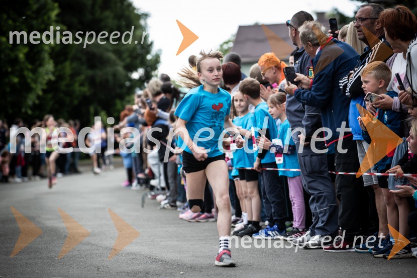 43. Maraton Treh src - tek