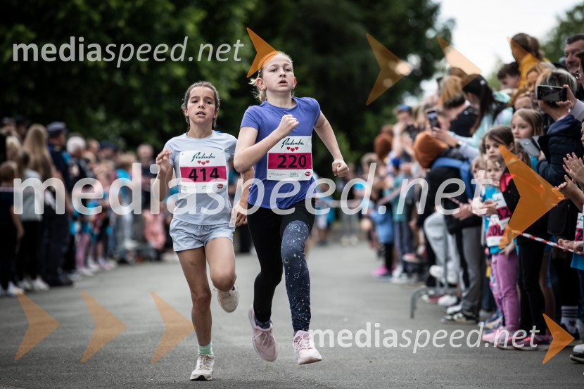 43. Maraton Treh src - tek