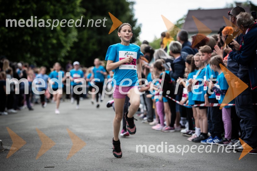 43. Maraton Treh src - tek