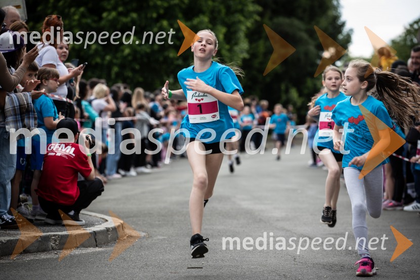 43. Maraton Treh src - tek