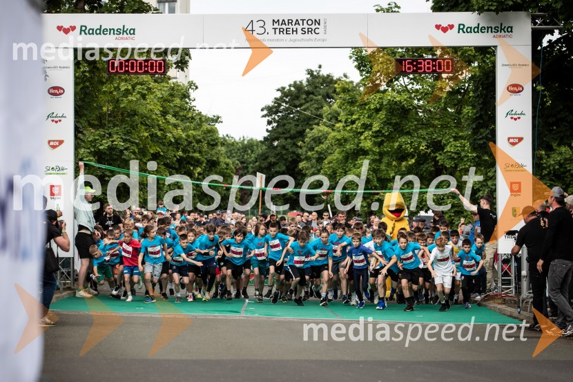 43. Maraton Treh src - tek