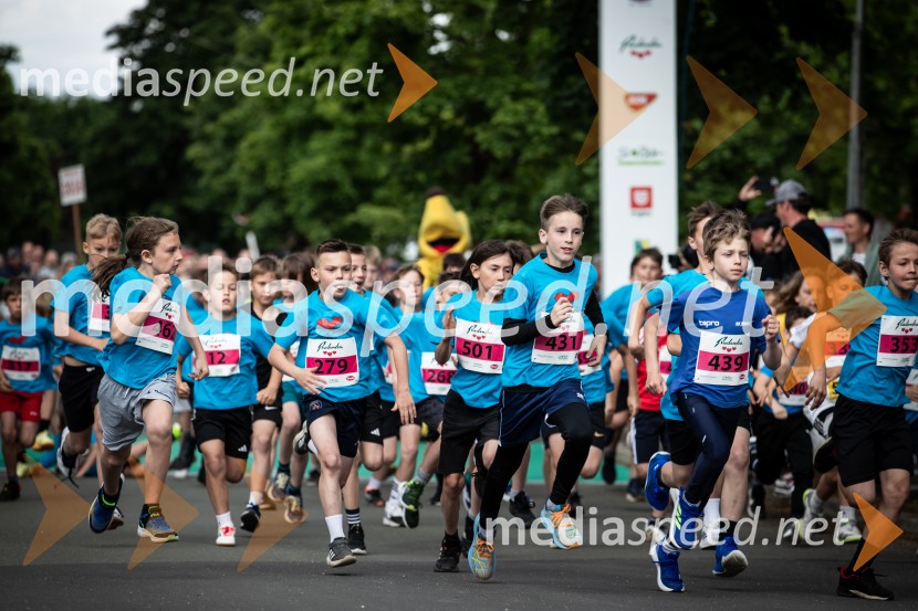 43. Maraton Treh src - tek