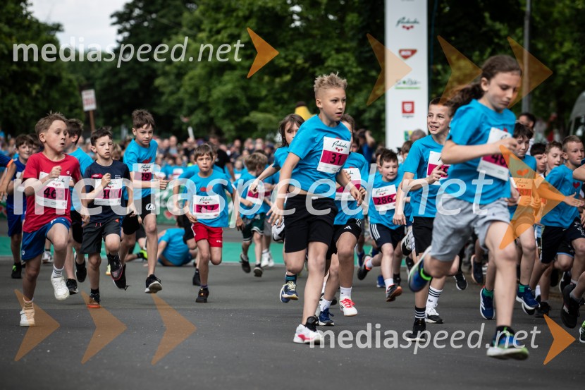 43. Maraton Treh src - tek