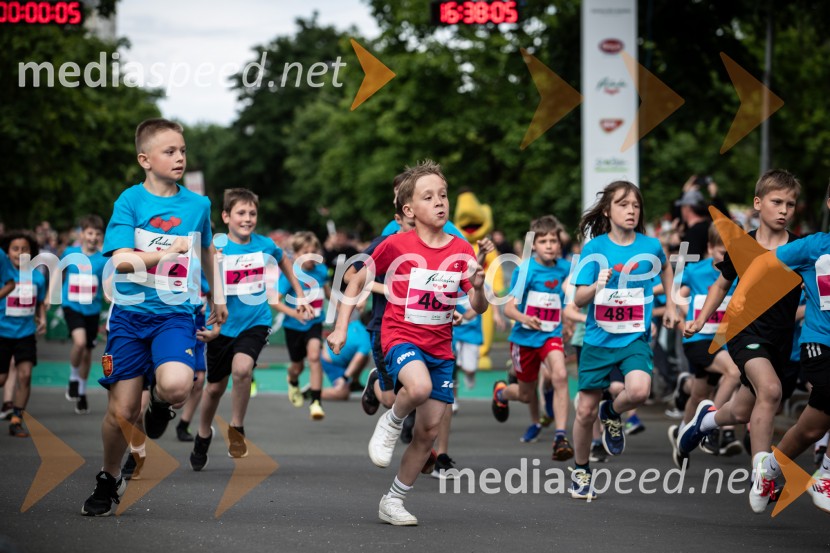 43. Maraton Treh src - tek