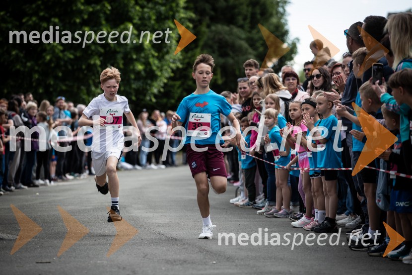 43. Maraton Treh src - tek