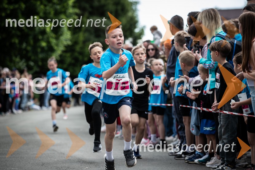 43. Maraton Treh src - tek