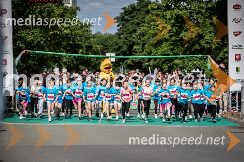 43. Maraton Treh src - tek