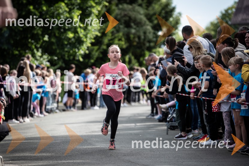 43. Maraton Treh src - tek