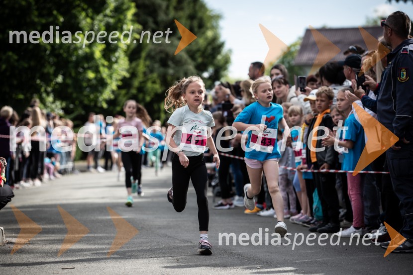 43. Maraton Treh src - tek