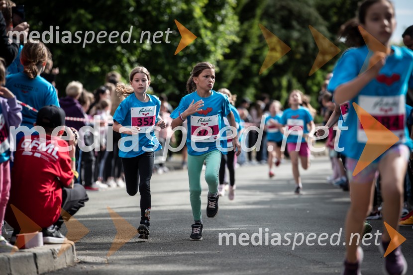 43. Maraton Treh src - tek