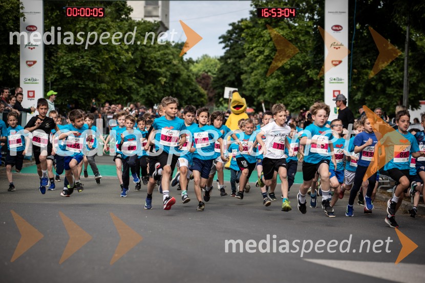 43. Maraton Treh src - tek