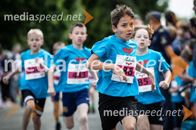 43. Maraton Treh src - tek