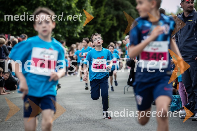 43. Maraton Treh src - tek