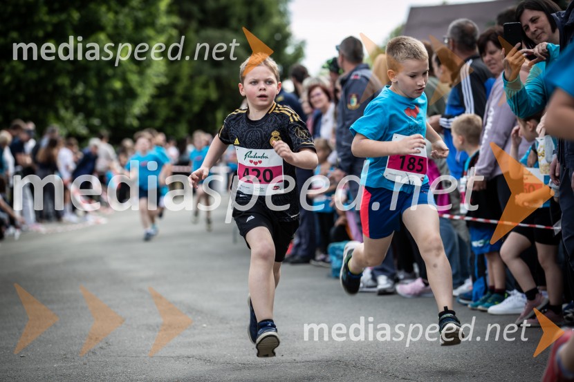 43. Maraton Treh src - tek