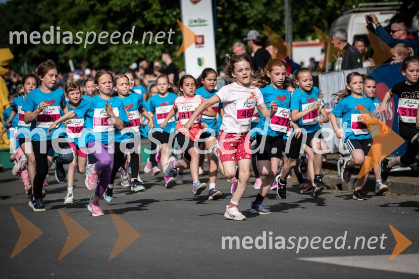 43. Maraton Treh src - tek