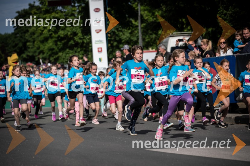 43. Maraton Treh src - tek