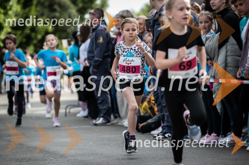 43. Maraton Treh src - tek