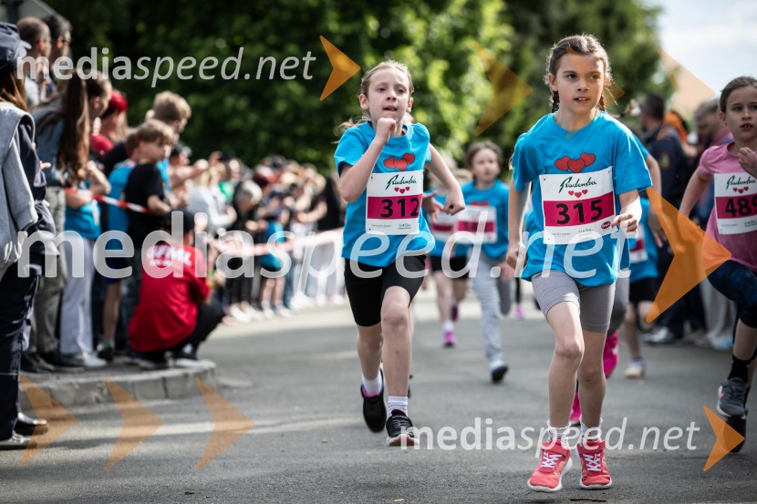 43. Maraton Treh src - tek