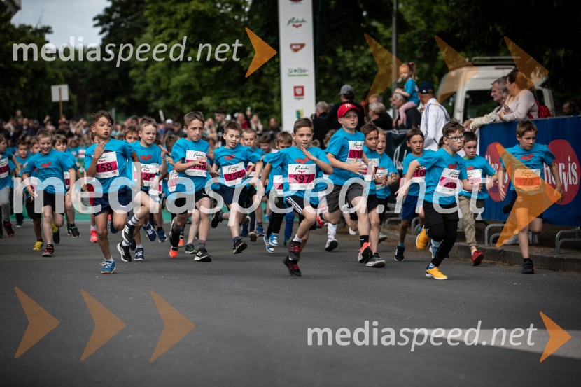 43. Maraton Treh src - tek