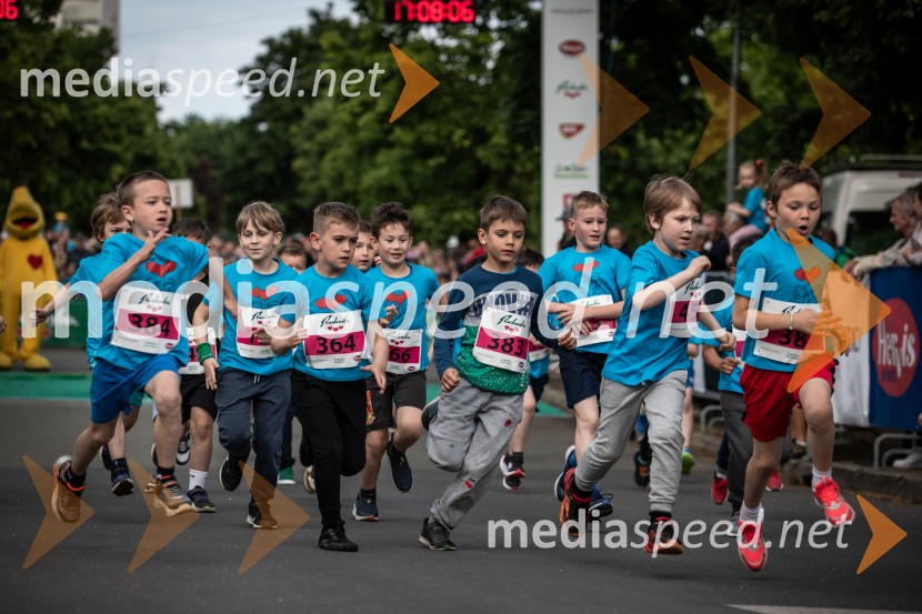 43. Maraton Treh src - tek