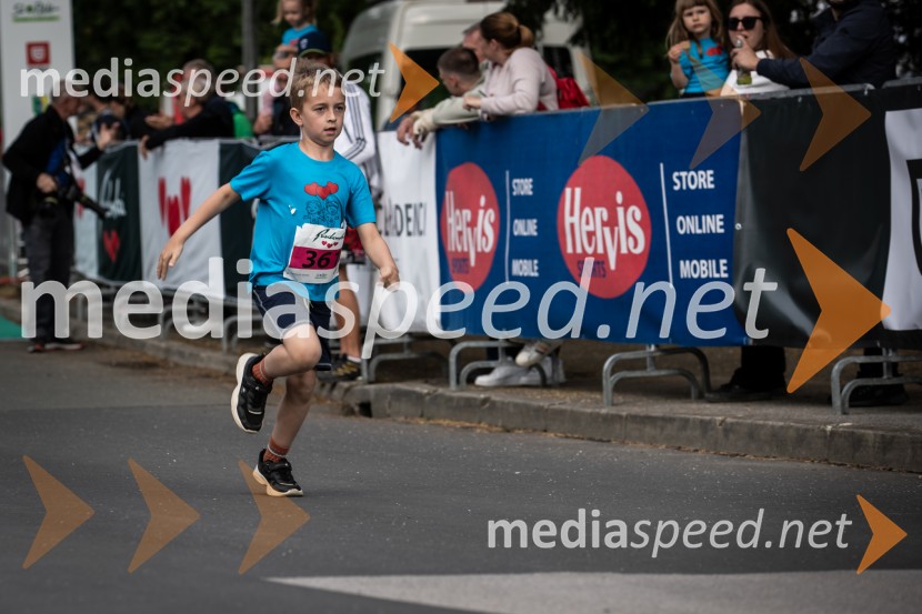 43. Maraton Treh src - tek