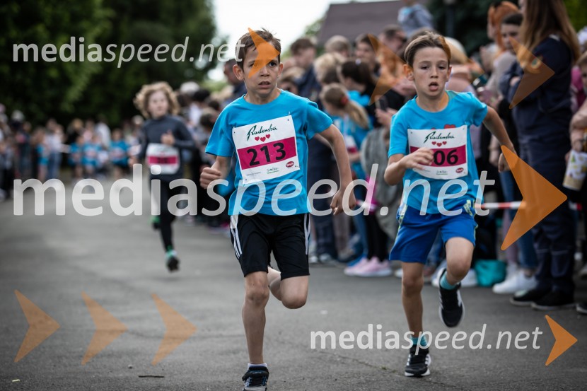 43. Maraton Treh src - tek