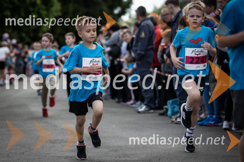 43. Maraton Treh src - tek