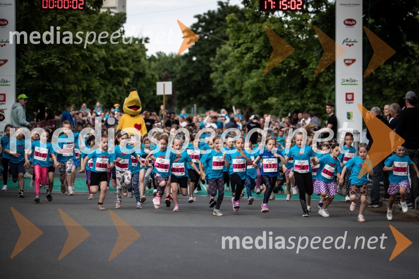 43. Maraton Treh src - tek