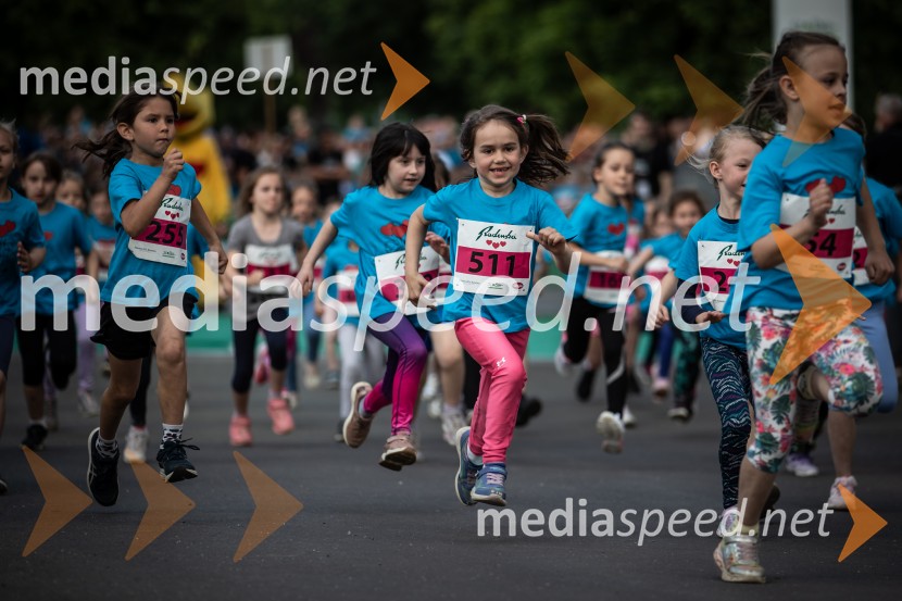 43. Maraton Treh src - tek