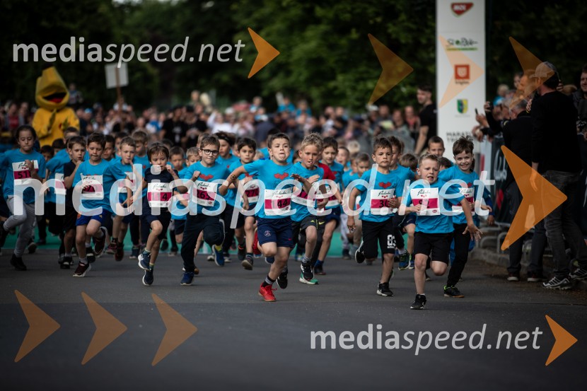 43. Maraton Treh src - tek