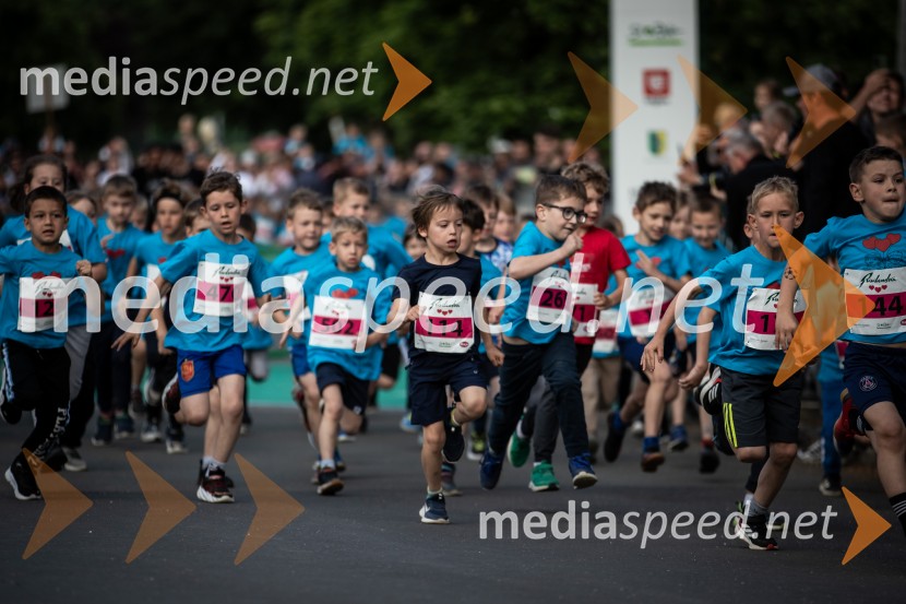 43. Maraton Treh src - tek