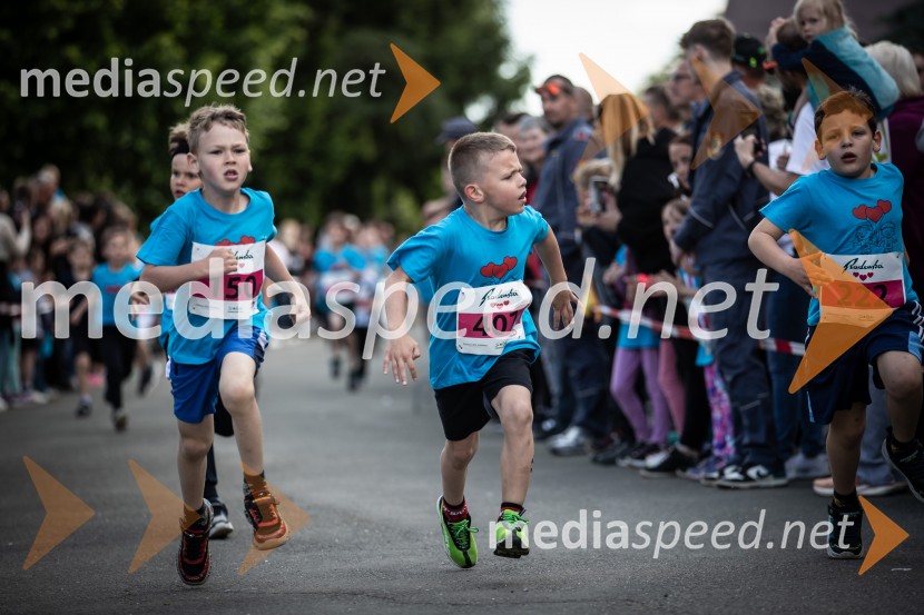 43. Maraton Treh src - tek