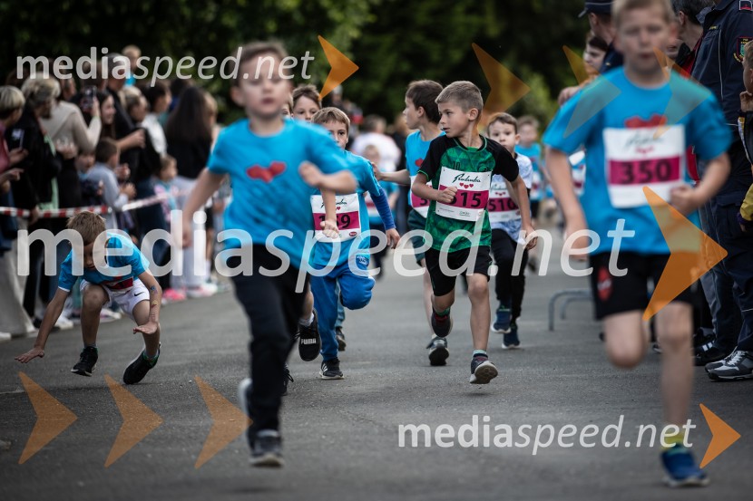 43. Maraton Treh src - tek