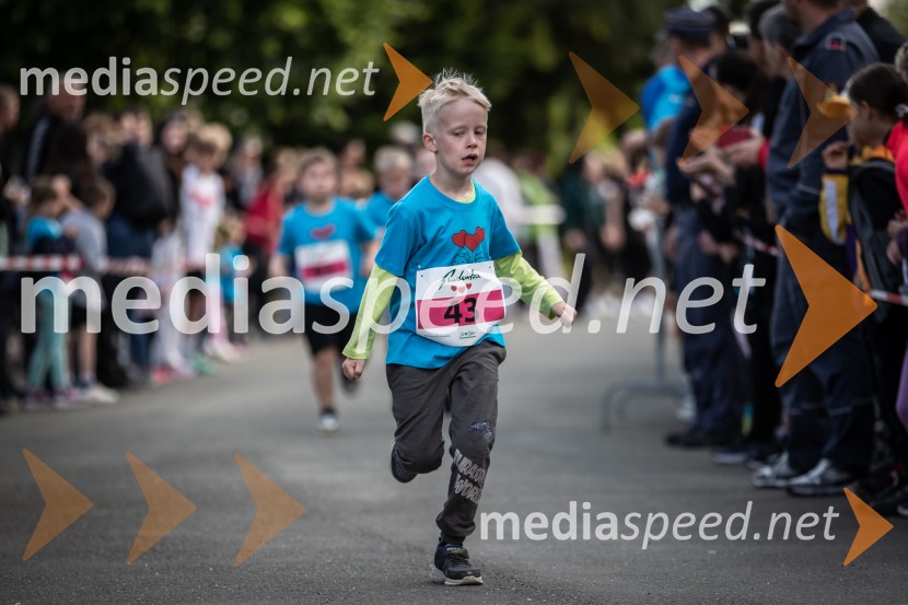 43. Maraton Treh src - tek