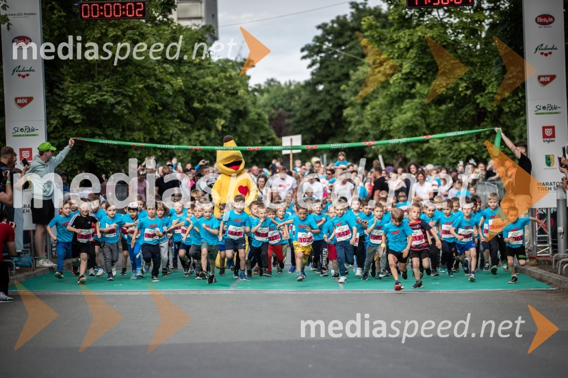 43. Maraton Treh src - tek