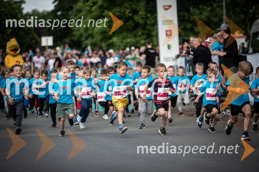 43. Maraton Treh src - tek