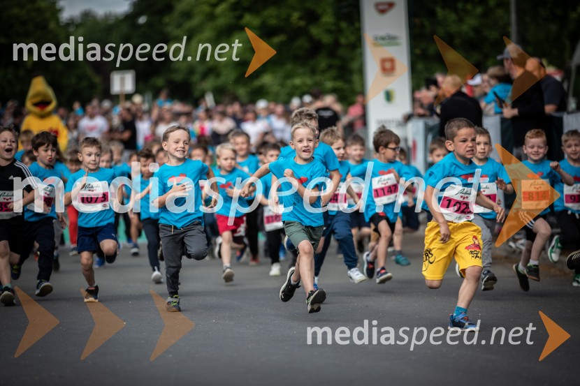 43. Maraton Treh src - tek