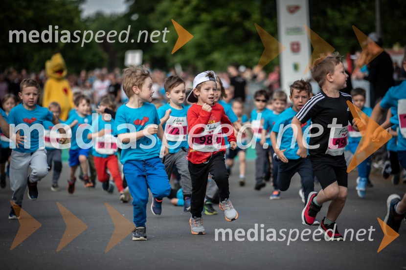 43. Maraton Treh src - tek