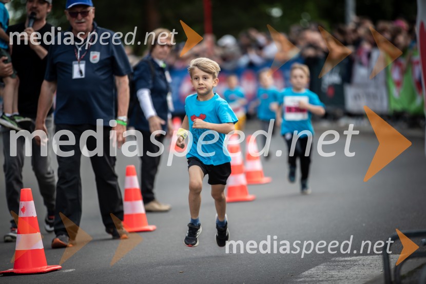 43. Maraton Treh src - tek