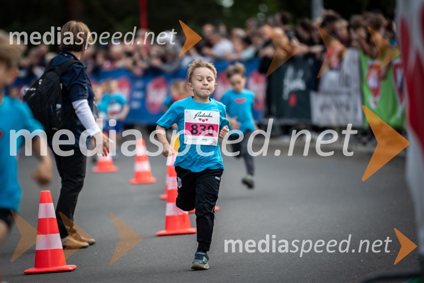 43. Maraton Treh src - tek