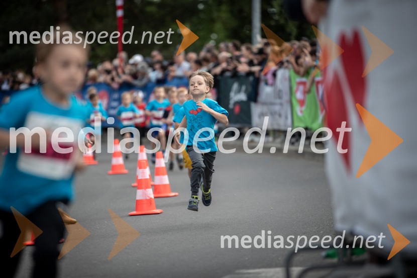 43. Maraton Treh src - tek